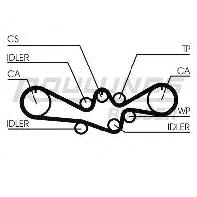 ROULUNDS RUBBER RR1088 Ремінь ГРМ