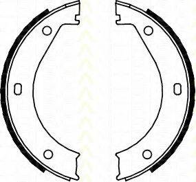 TRISCAN 810011415 Комплект гальмівних колодок, стоянкова гальмівна система