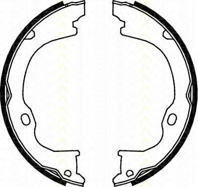 TRISCAN 810080011 Комплект гальмівних колодок, стоянкова гальмівна система