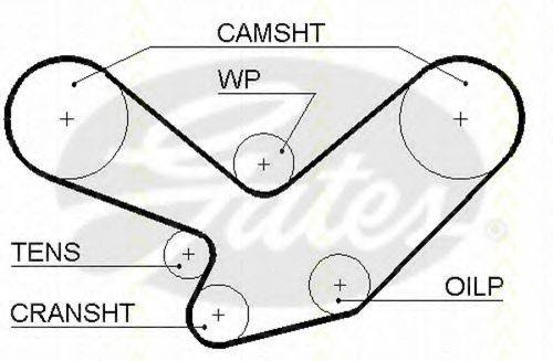 TRISCAN 86455096 Ремінь ГРМ