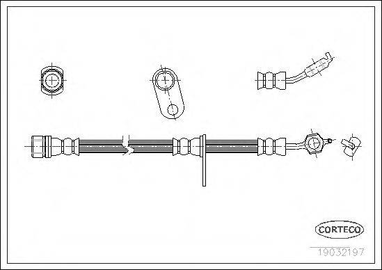 CORTECO 19032197 Гальмівний шланг