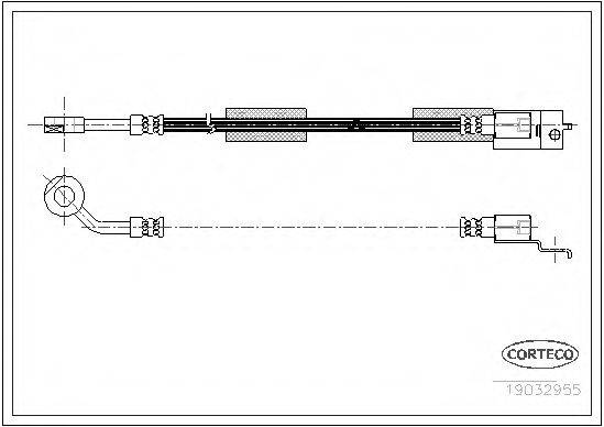 CORTECO 19032955 Гальмівний шланг