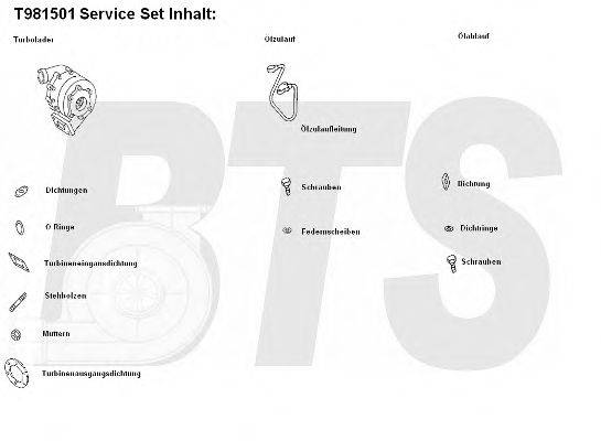 BTS TURBO T981501 Компресор наддув