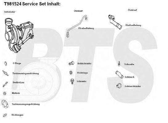 BTS TURBO T981524 Компресор наддув