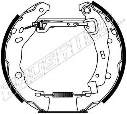 TRUSTING 6219 Комплект гальмівних колодок