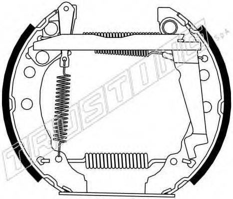 TRUSTING 6299 Комплект гальмівних колодок