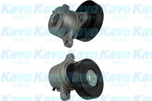 KAVO PARTS DTP8501 Натяжний ролик, полікліновий ремінь