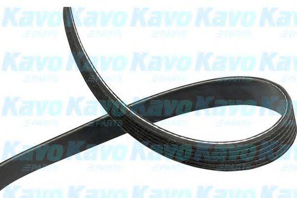 KAVO PARTS DMV1005 Полікліновий ремінь