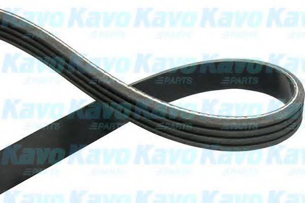 KAVO PARTS DMV1506 Полікліновий ремінь