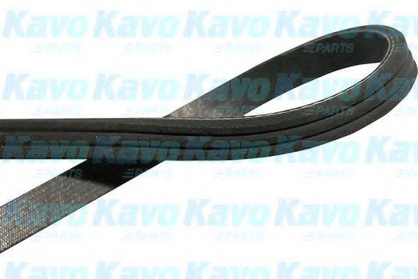 KAVO PARTS DMV2002 Полікліновий ремінь