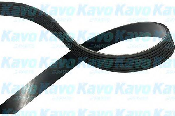 KAVO PARTS DMV2069 Полікліновий ремінь