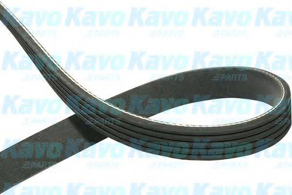 KAVO PARTS DMV4012 Полікліновий ремінь