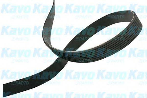 KAVO PARTS DMV4540 Полікліновий ремінь