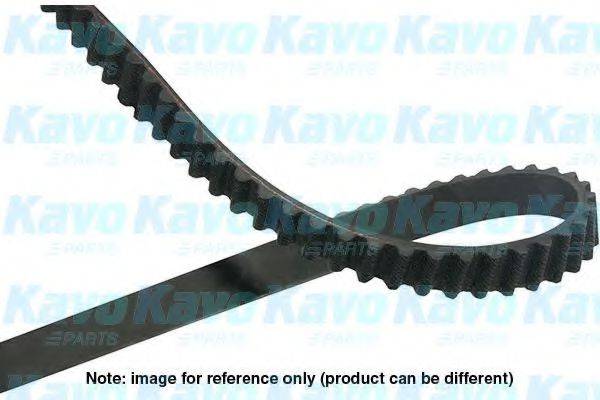 KAVO PARTS DTB5528 Ремінь ГРМ