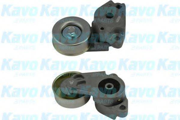 KAVO PARTS DTP5503 Натяжний ролик, полікліновий ремінь