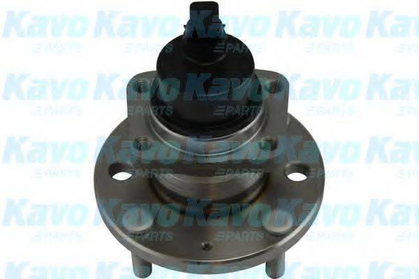 KAVO PARTS WBH1002 Комплект підшипника маточини колеса