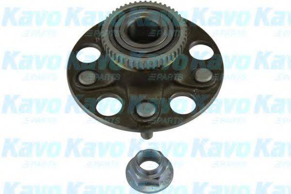 KAVO PARTS WBK2019 Комплект підшипника маточини колеса