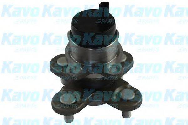 KAVO PARTS WBH1502 Комплект підшипника маточини колеса