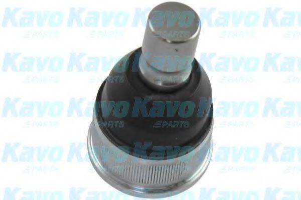 KAVO PARTS SBJ4535 несучий / напрямний шарнір