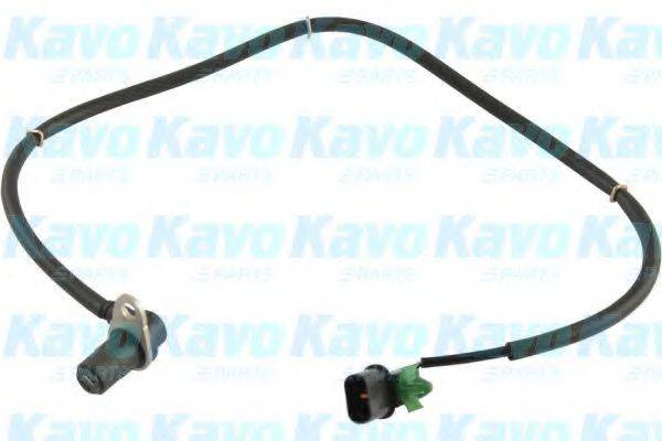 KAVO PARTS BAS5531 Датчик, частота обертання колеса