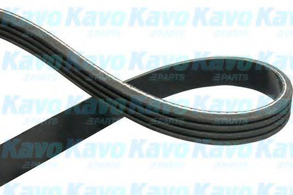 KAVO PARTS DMV1034 Полікліновий ремінь