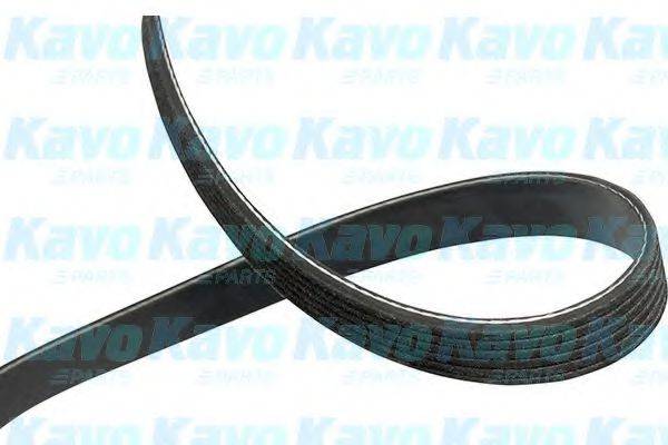 KAVO PARTS DMV1036 Полікліновий ремінь