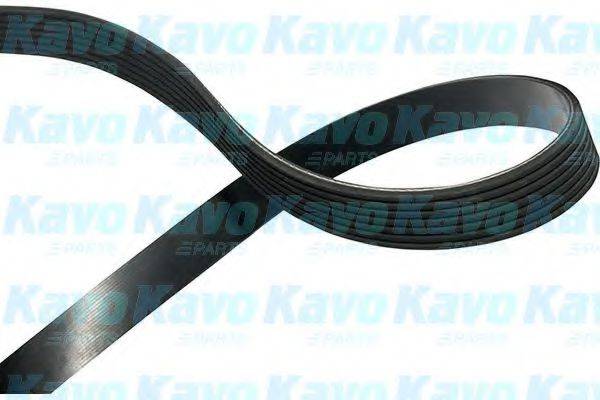 KAVO PARTS DMV2071 Полікліновий ремінь