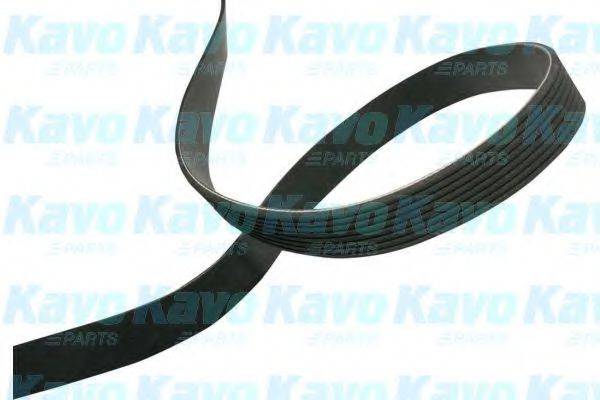 KAVO PARTS DMV9120 Полікліновий ремінь