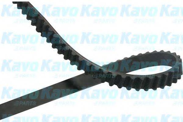 KAVO PARTS DTB4543 Ремінь ГРМ