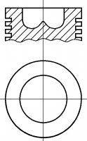 NURAL 8720770000 Поршень
