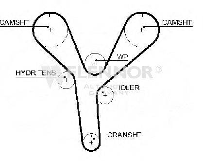 FLENNOR 1012 Ремінь ГРМ