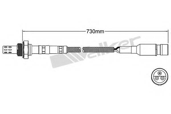 WALKER PRODUCTS 25023031 Лямбда-зонд