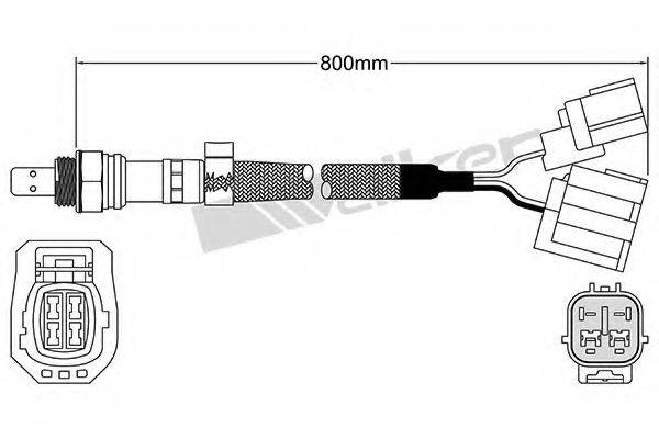 WALKER PRODUCTS 25025067 Лямбда-зонд