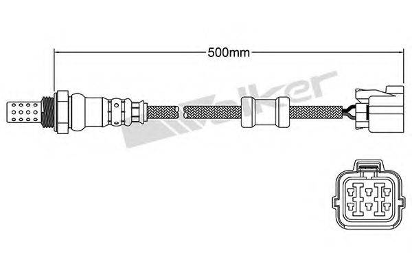 WALKER PRODUCTS 25024754 Лямбда-зонд