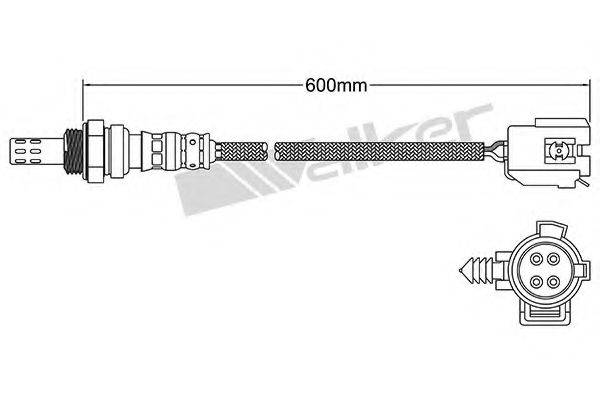 WALKER PRODUCTS 25024076 Лямбда-зонд