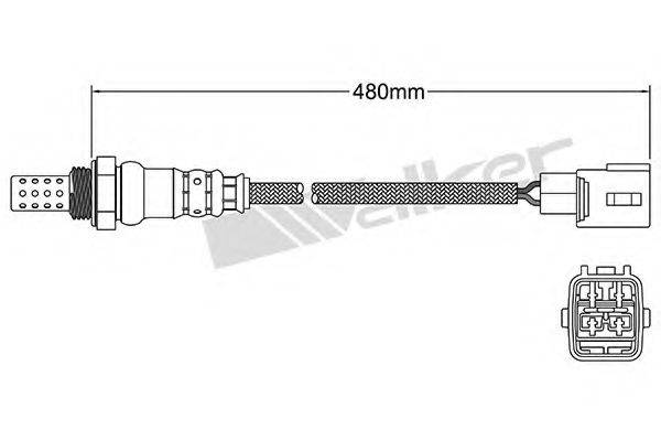 WALKER PRODUCTS 25024777 Лямбда-зонд