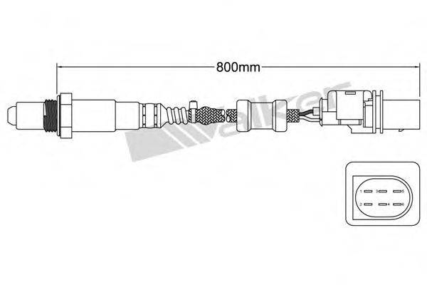 WALKER PRODUCTS 80095001 Лямбда-зонд