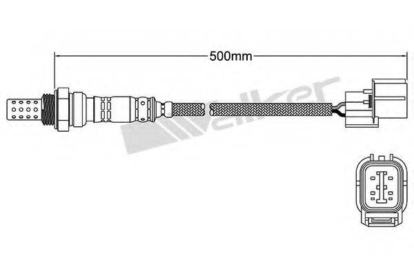 WALKER PRODUCTS 25024346 Лямбда-зонд