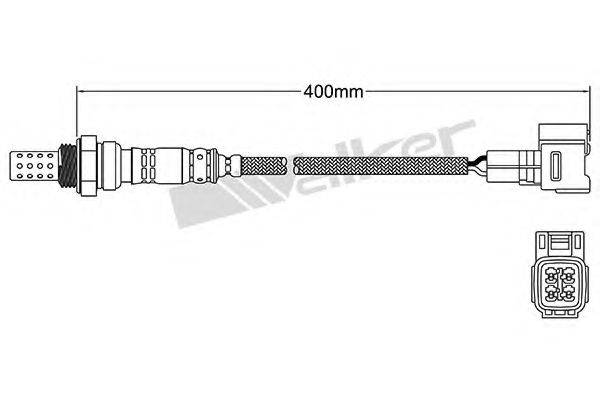 WALKER PRODUCTS 25024852 Лямбда-зонд