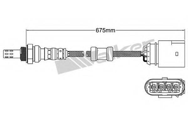 WALKER PRODUCTS 25024941 Лямбда-зонд