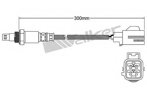 WALKER PRODUCTS 25054062 Лямбда-зонд