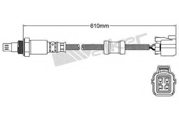 WALKER PRODUCTS 25054022 Лямбда-зонд