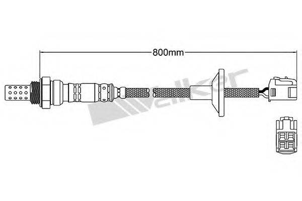 WALKER PRODUCTS 25024483 Лямбда-зонд