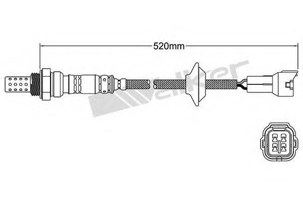 WALKER PRODUCTS 25024060 Лямбда-зонд