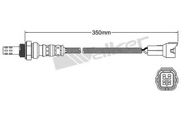 WALKER PRODUCTS 25024372 Лямбда-зонд