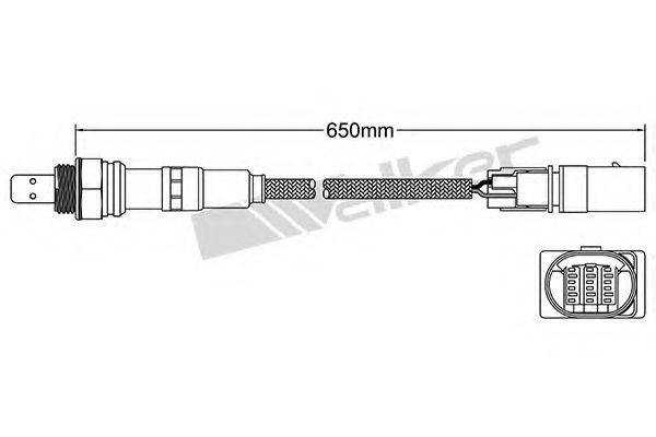 WALKER PRODUCTS 25025017 Лямбда-зонд