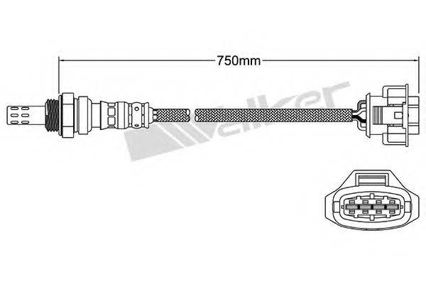 WALKER PRODUCTS 25024733 Лямбда-зонд