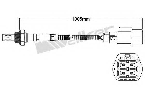 WALKER PRODUCTS 25024286 Лямбда-зонд