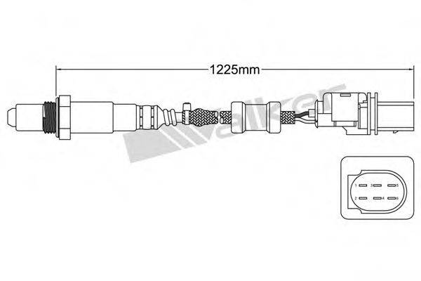 WALKER PRODUCTS 80095019 Лямбда-зонд