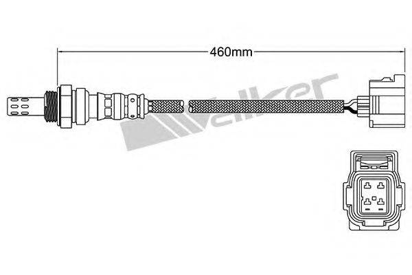 WALKER PRODUCTS 25024251 Лямбда-зонд